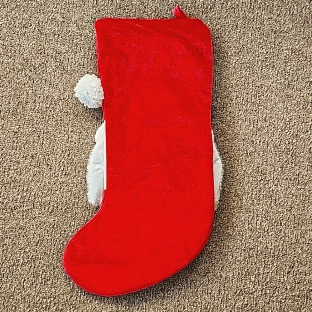 Stocking - Picture 12 of 14